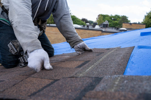 Best Roof Gutter Cleaning  in Central Park, WA