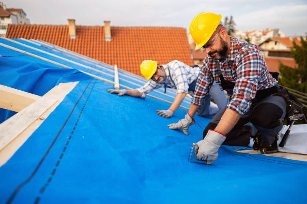 Best Metal Roofing Contractor  in Central Park, WA