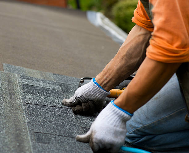 Best Emergency Roof Repair  in Central Park, WA