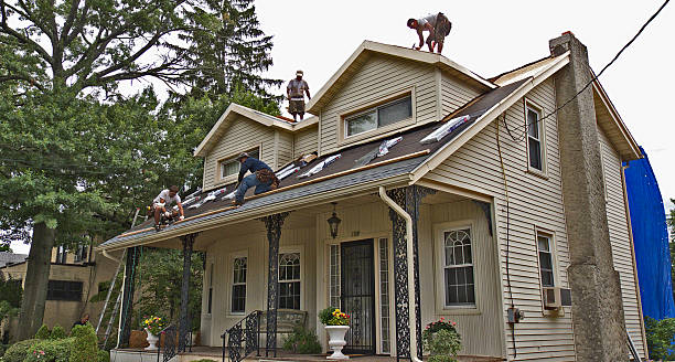 Best Shingle Roofing Installation  in Central Park, WA